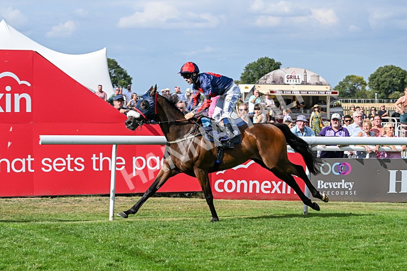 140825-Race 5-Chillhi-1536 - Race 5