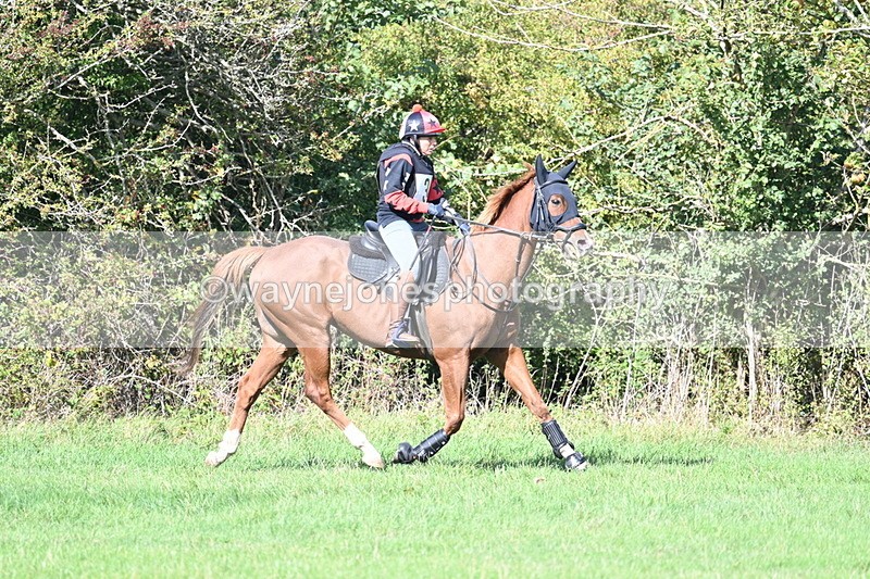 WJ7_0363 - Time 12:53 to 13:03