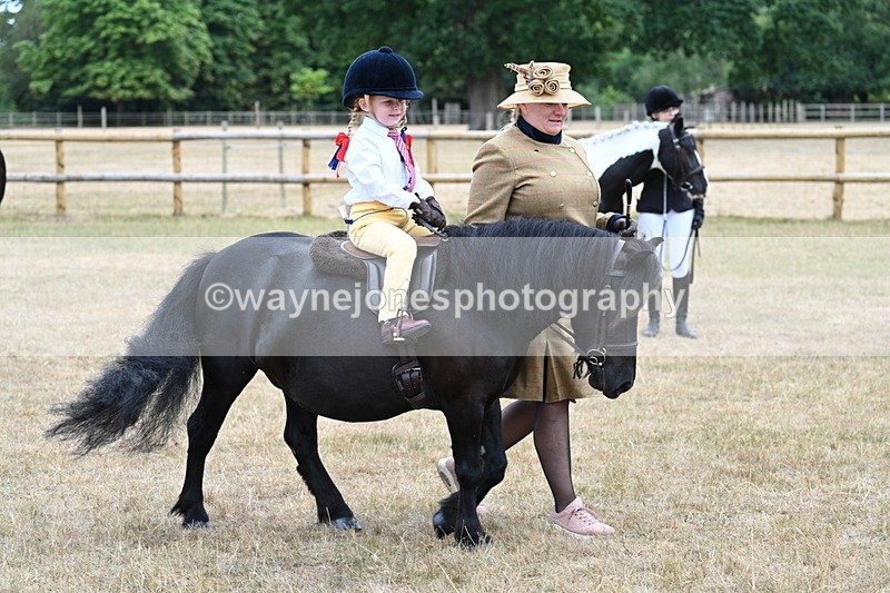 WJ7_8464 - Class 4 Prettiest Mare up to 14.2hh