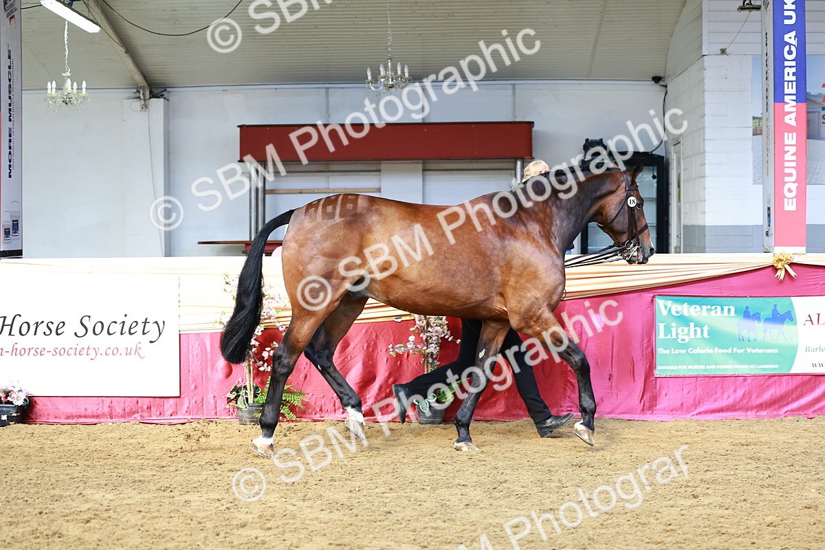 SBM_23035 - Class 903 - Supreme Final - IH Pre Vet