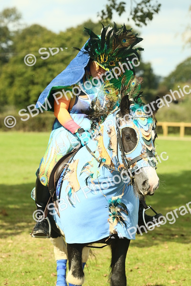 SBM_63642 - S35 - Fancy Dress Showing