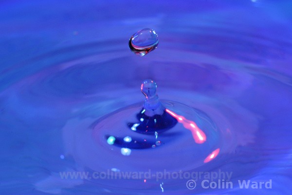 Drop of Colour. Ref 3836 - macro and nature.
