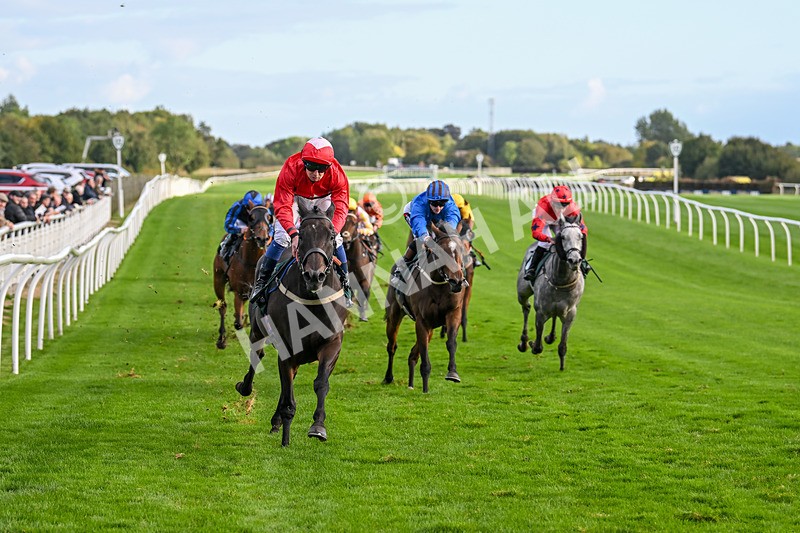 021024-Race 6-Redrosezorro-9647 - Race 6