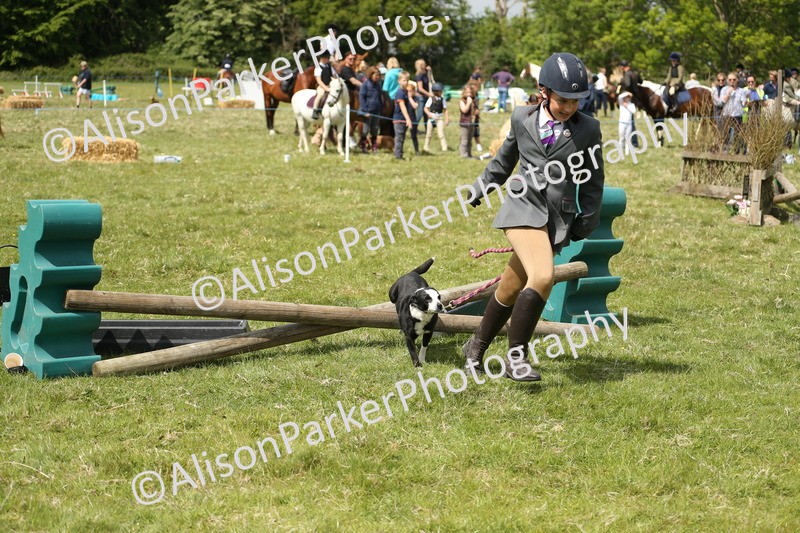 20250517-2974 - Class 25 - Horse & Hound