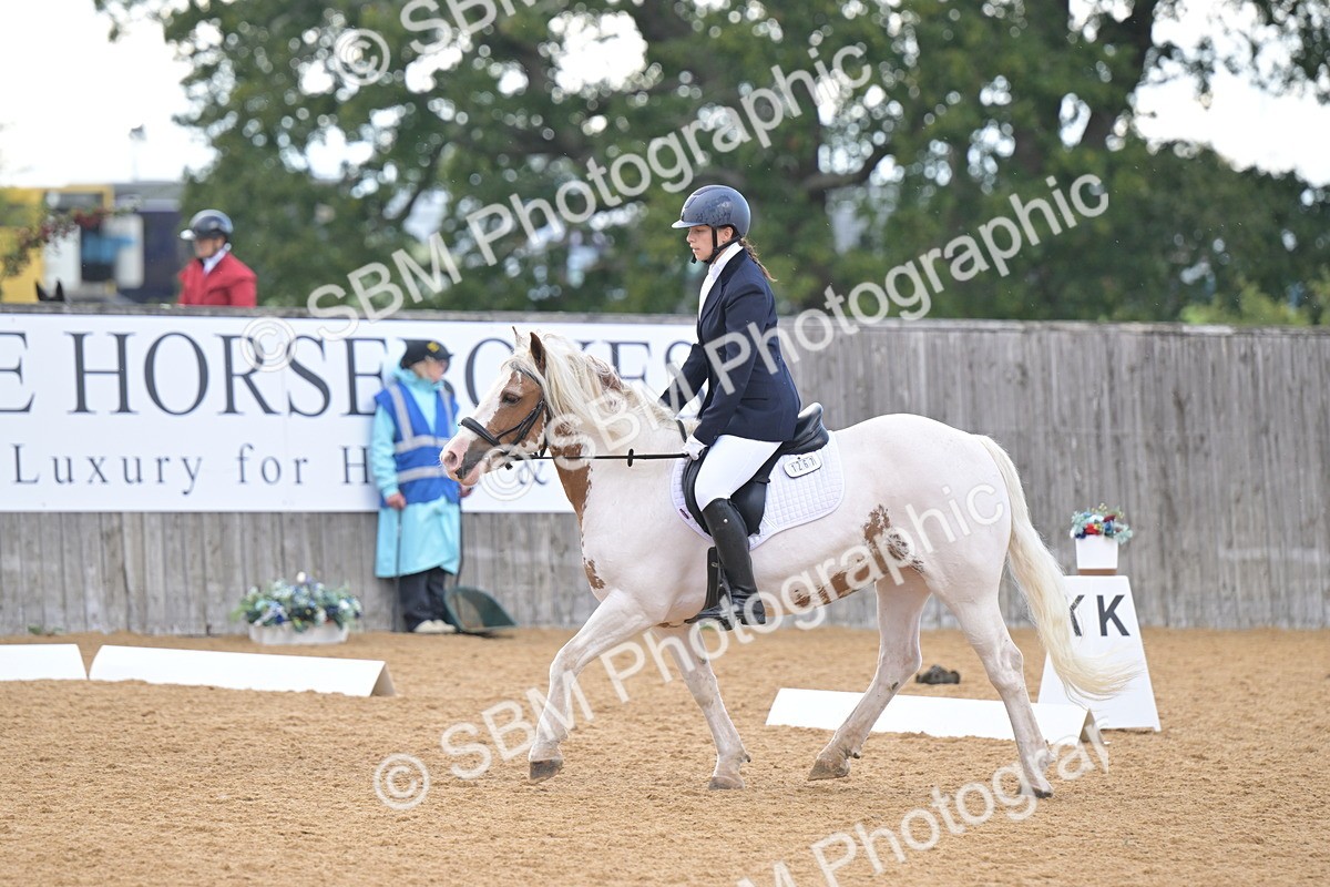 SBM_11211 - D3 - Small Tour Championship Intro 3