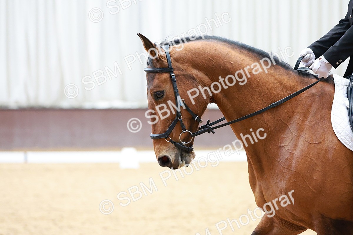 SBM_001175 - Class 5 - Novice 1