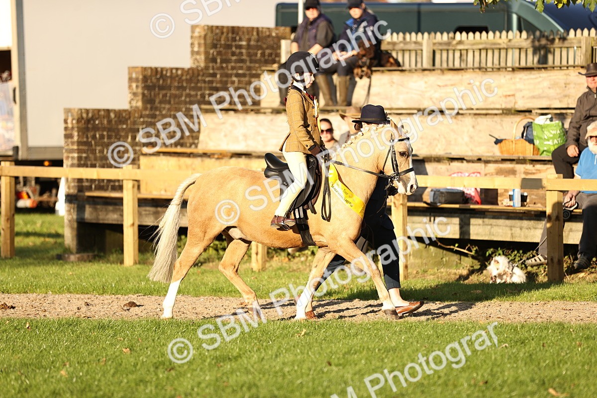 SBM_30123 - Novice & Newcomers Supreme Championship