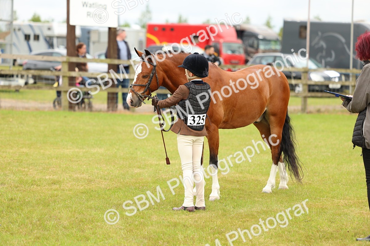 SBM_10250 - Class 44-45 - LIHS BSPS Open Nursery and Cradle Stakes