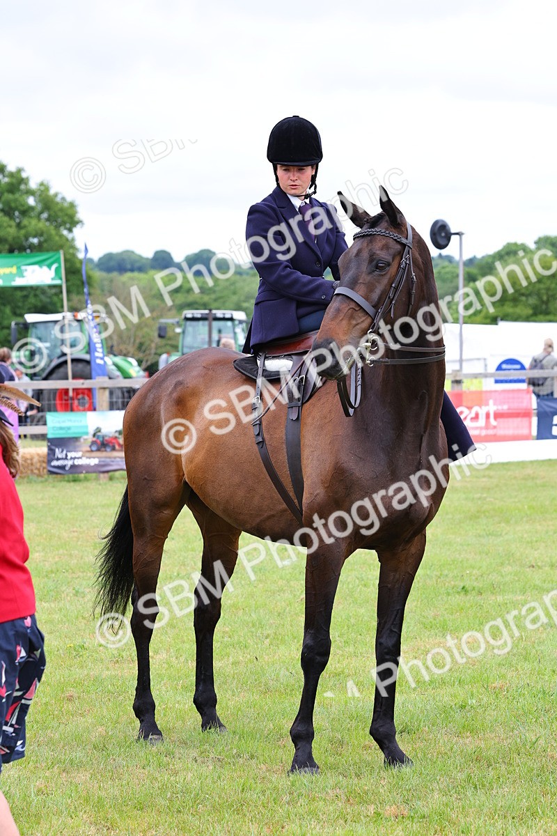 SBM_02834 - Class 9-11 Side Saddle including LIHS Rising Star Ladies Show Horse
