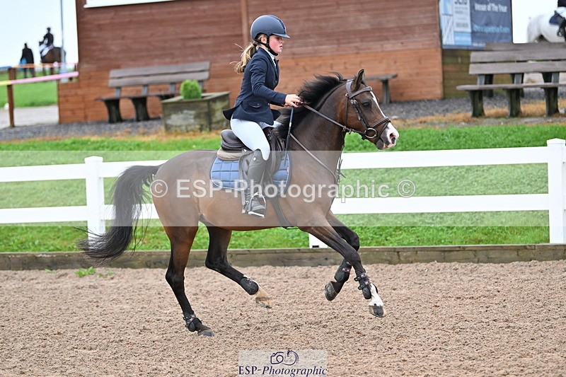 240908A-110327-03218 - Cls 18 A&B Pony Brit Nov & 80 Opern