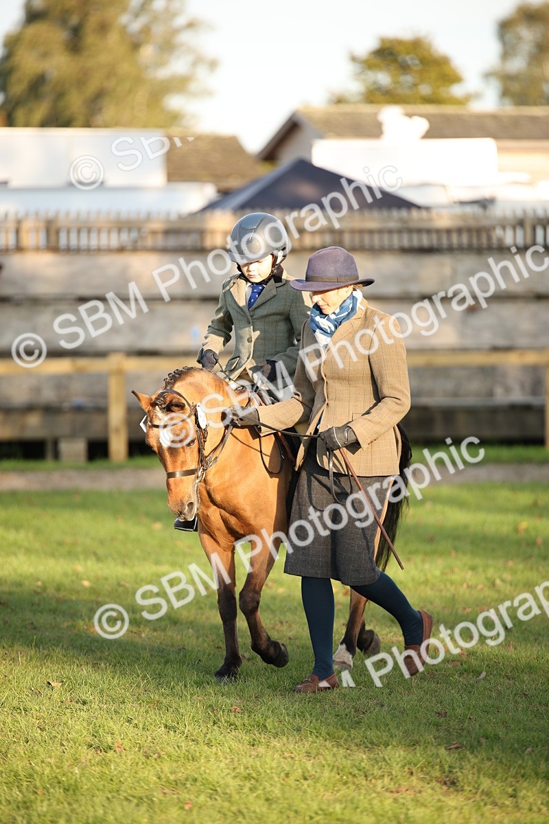 SBM_54473 - S27 - Mature Veteran - Ridden