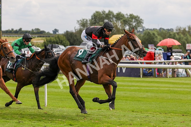 240724-Race 4-Swinging Eddie-3522 - Race 4