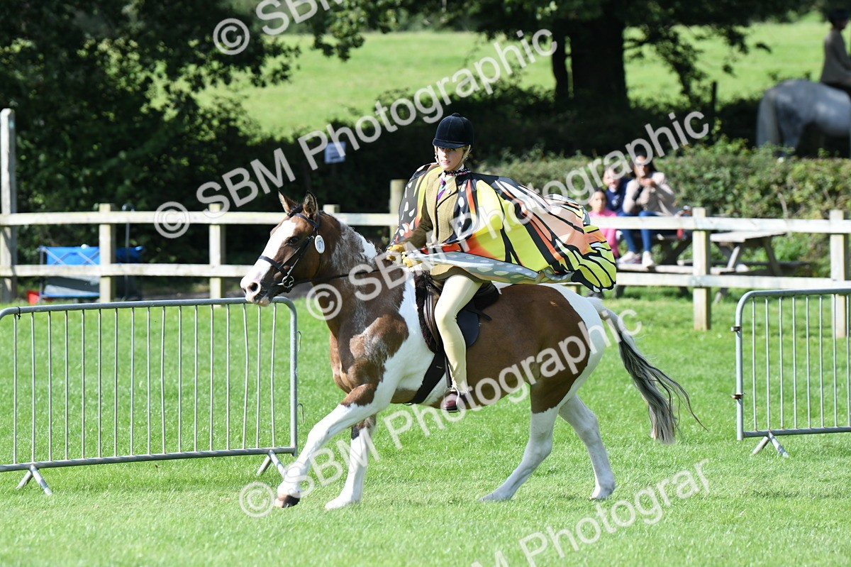 SBM_47101 - S12 - Family Horse & Pony