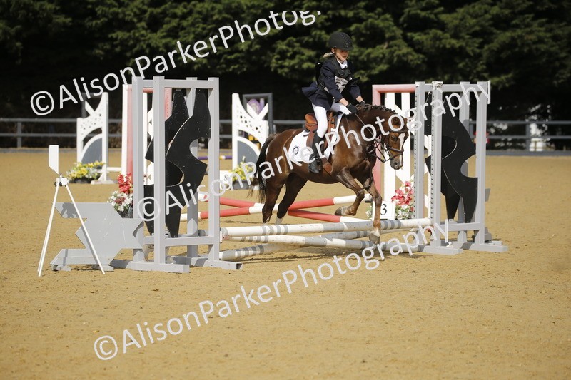 20250622-1556 - 40cm