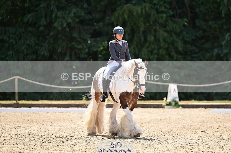 260802A-123345-06273 - Novice Silver break- end
