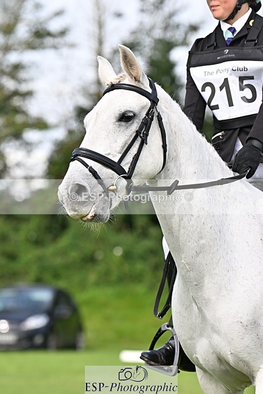 230826-104038-16631 - Sections A & B 10 to End