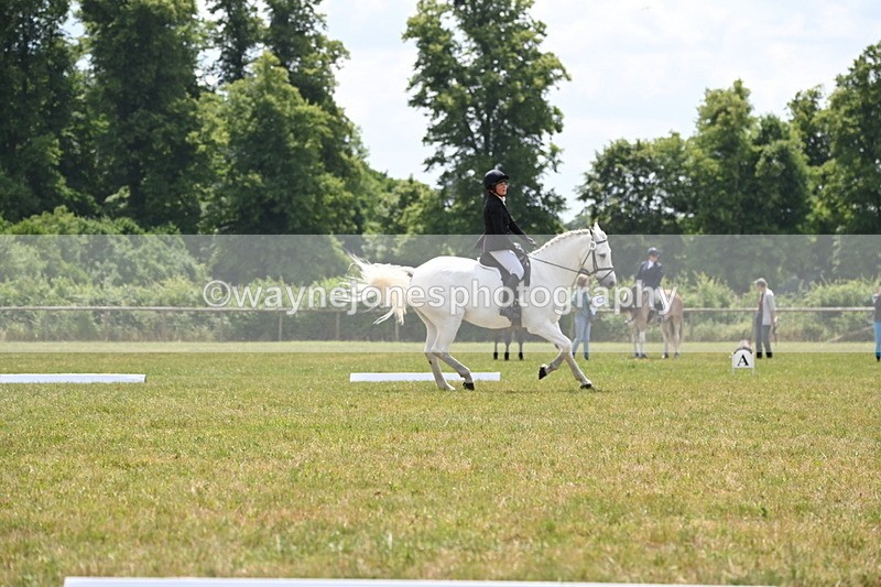 WJ6_7306 - Time 12:25 to 12:56