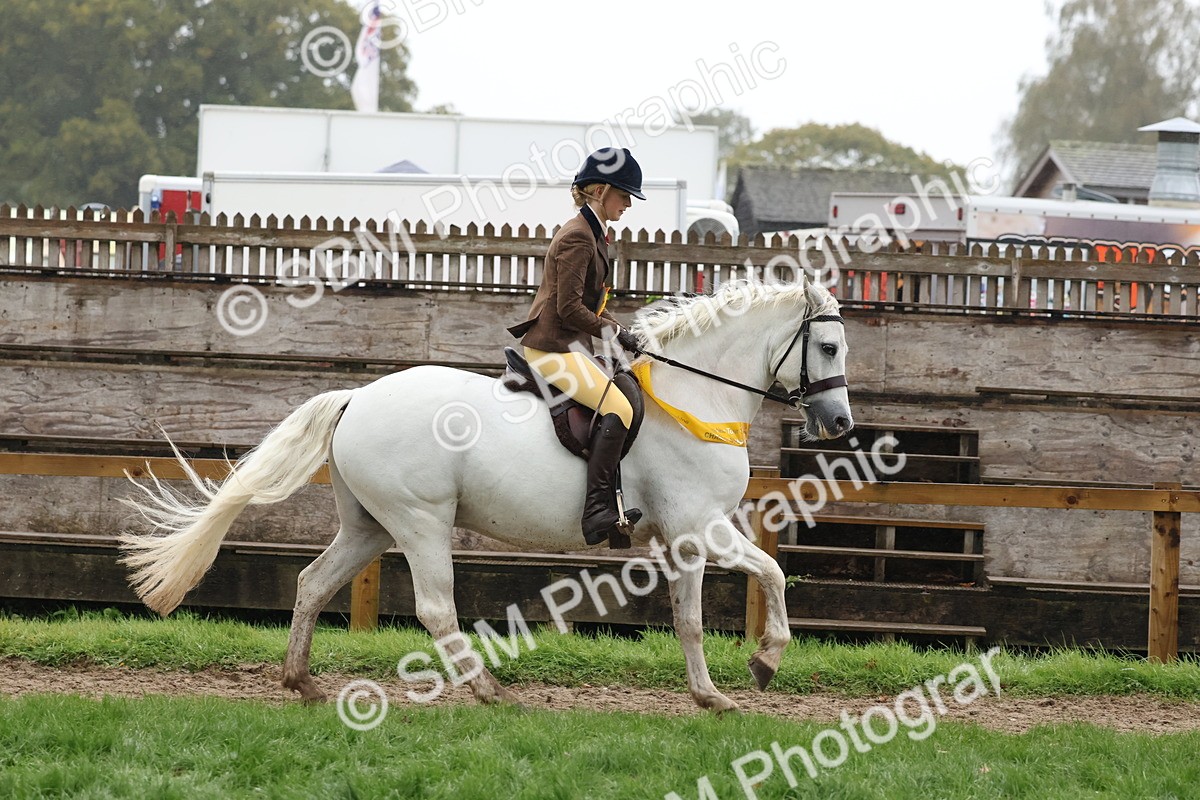 SBM_73126 - Ridden Pony Supreme Championship