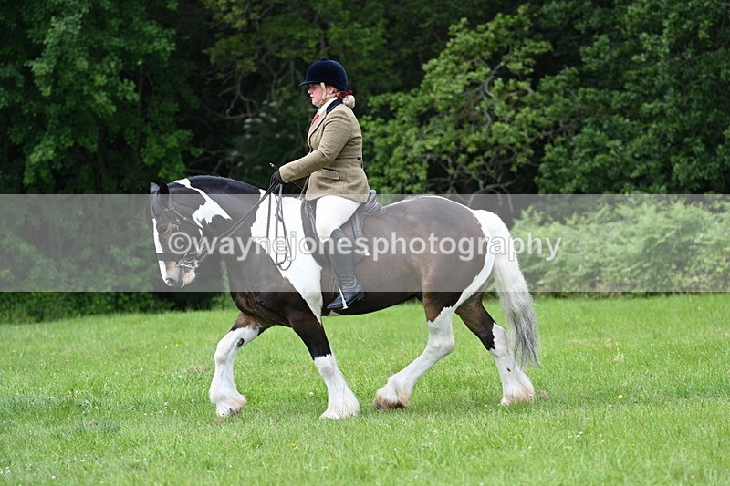 WJ7_2342 - Class 12A Coloured Class