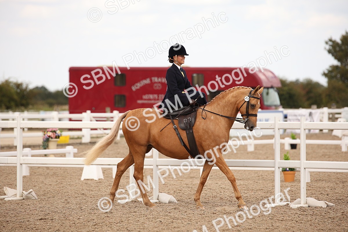 SBM_05297 - Class 22 SSA Equitation