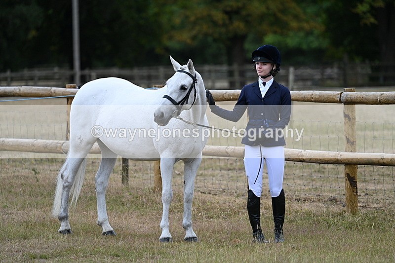 WJ7_8799 - Class 4a Prettiest Mare 14.2hh and over