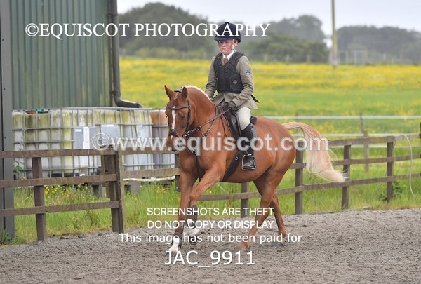 JAC_9911 - CLASS 3 Intermediate Working Hunter (0.70m - 0.85m)