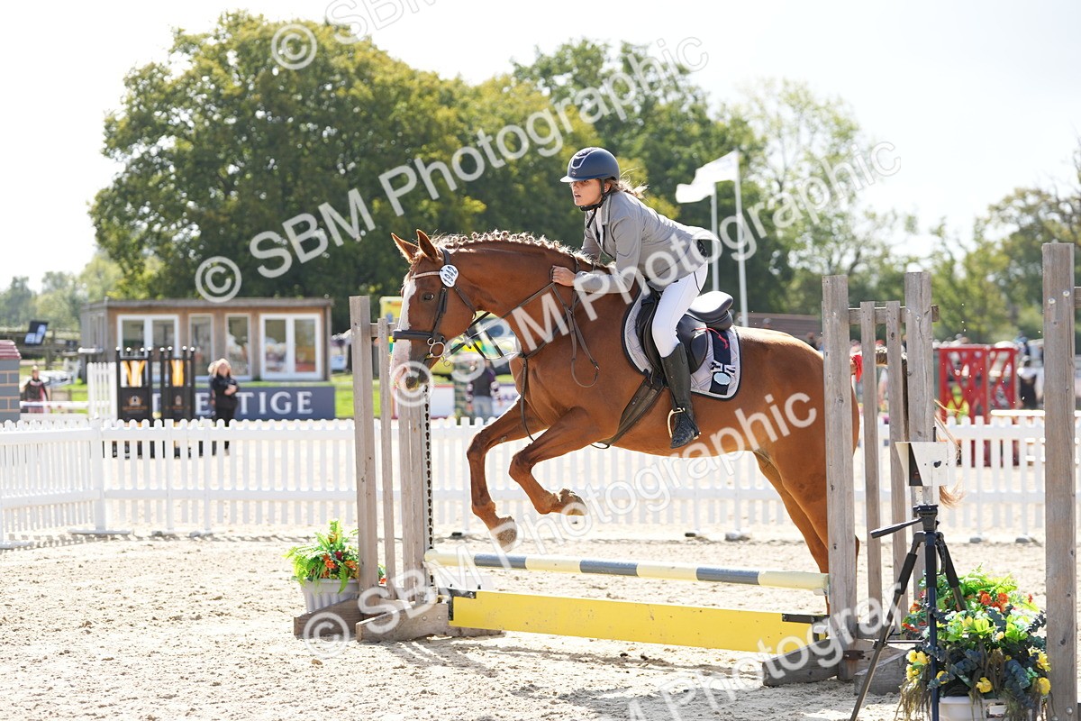 SBM_18017 - J58 - Clear Round 50cm
