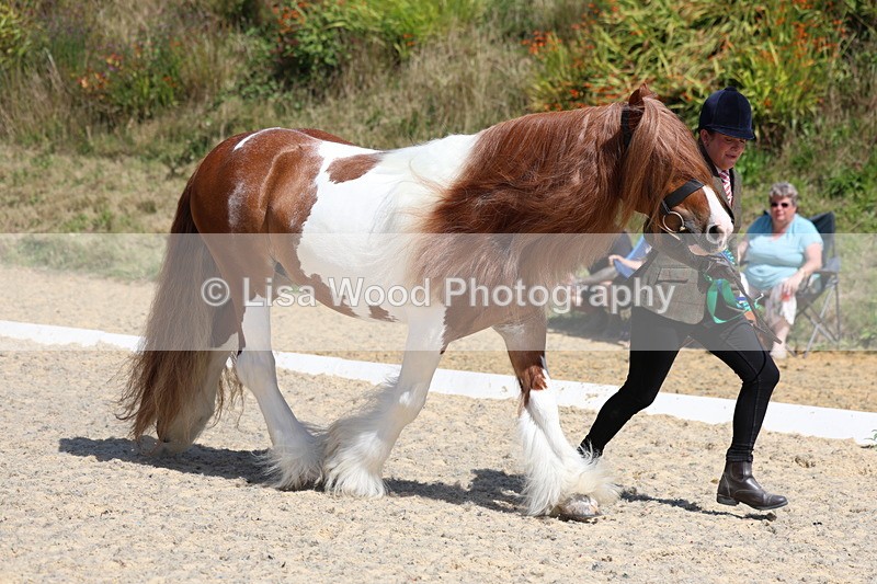 3E7A9889 - In Hand Championship