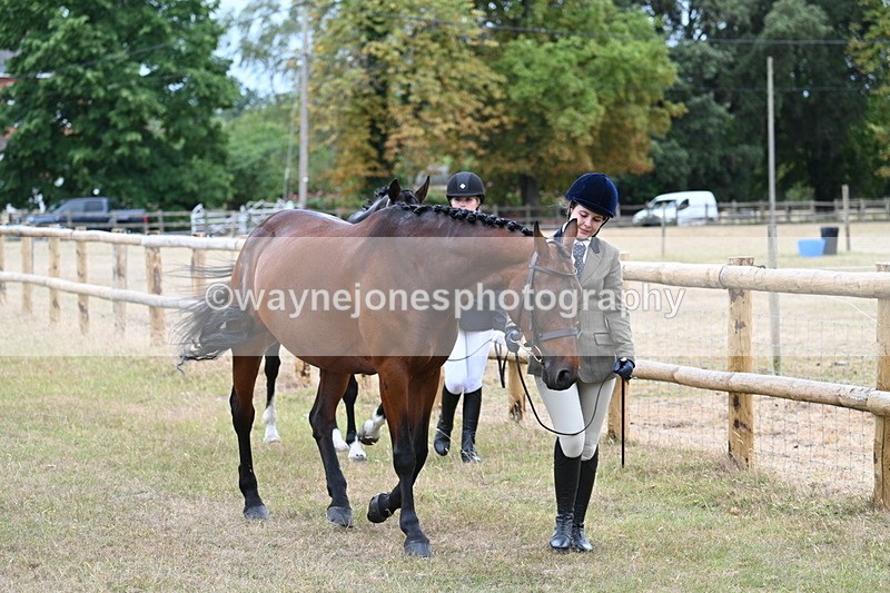 WJ7_9087 - Class 4a Prettiest Mare 14.2hh and over