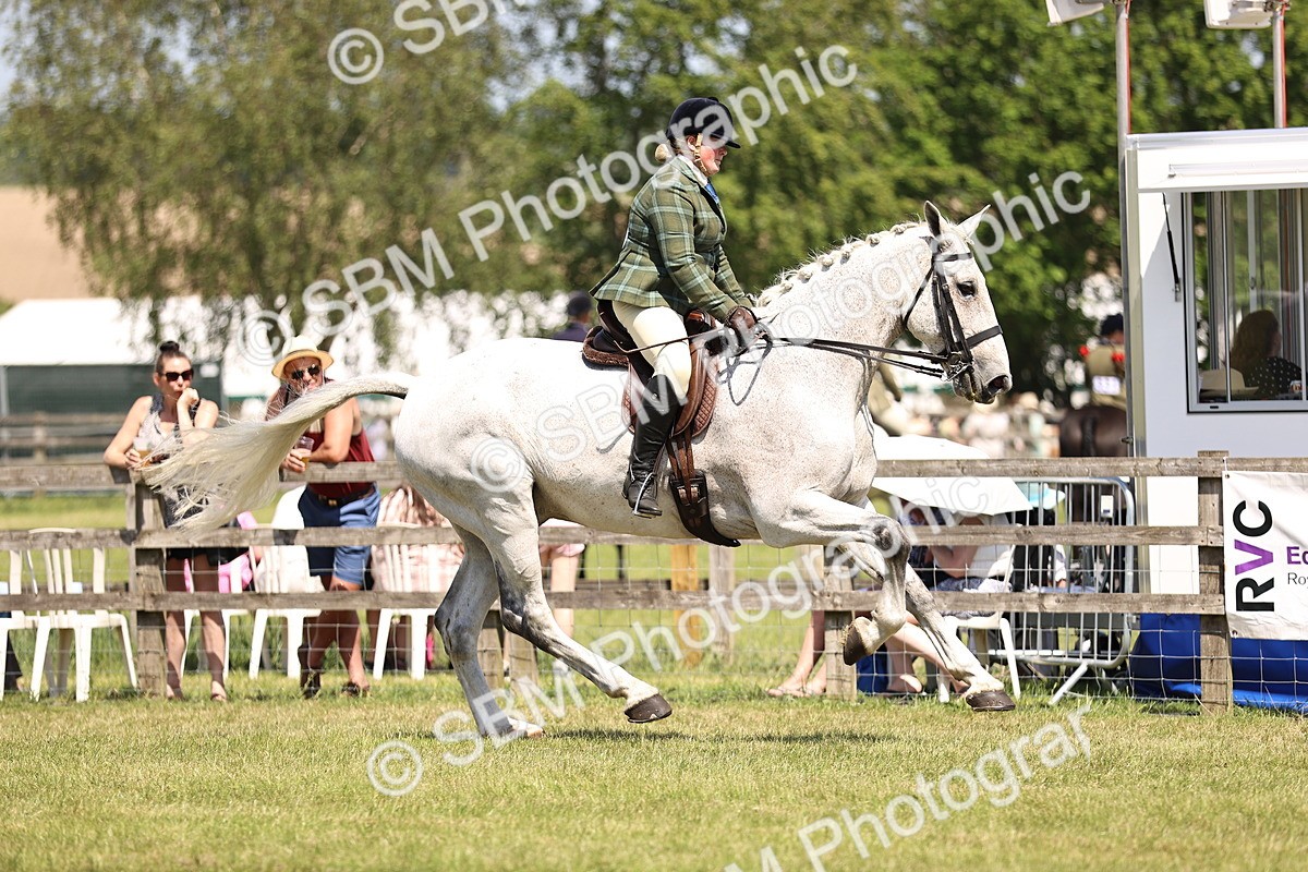 SBM_16156 - Class 79-80 - LIHS BSHA Rising Star Ridden Hunter