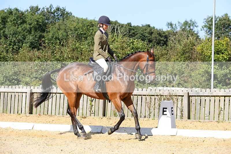 1X9A7876 - Class 10:Riding Horse