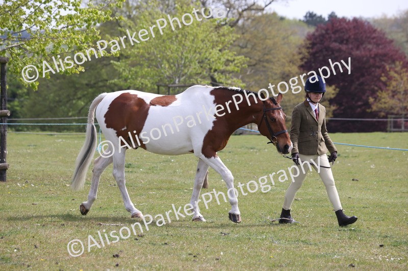 20260426-3287 - Class 27 - Coloured Horses and Ponies