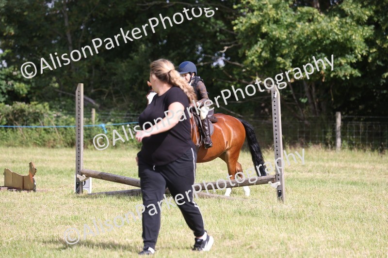 20260614-0480 - Class 20 - Beginners Working Hunter Pony