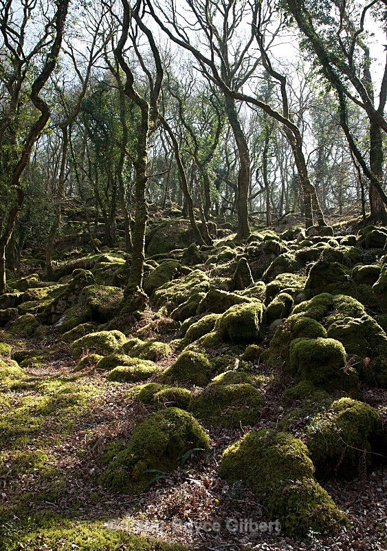  - The Moors