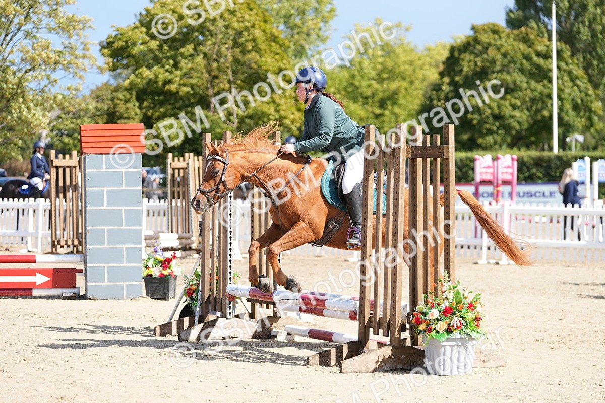 SBM_19825 - J49 - Open 50cm