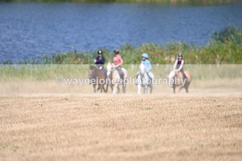 WJ6_8802 - Time 11:56 to 12:02