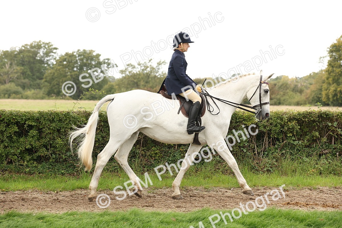 SBM_64167 - S65 - Riding Horse & Hack & Thoroughbred Ridden