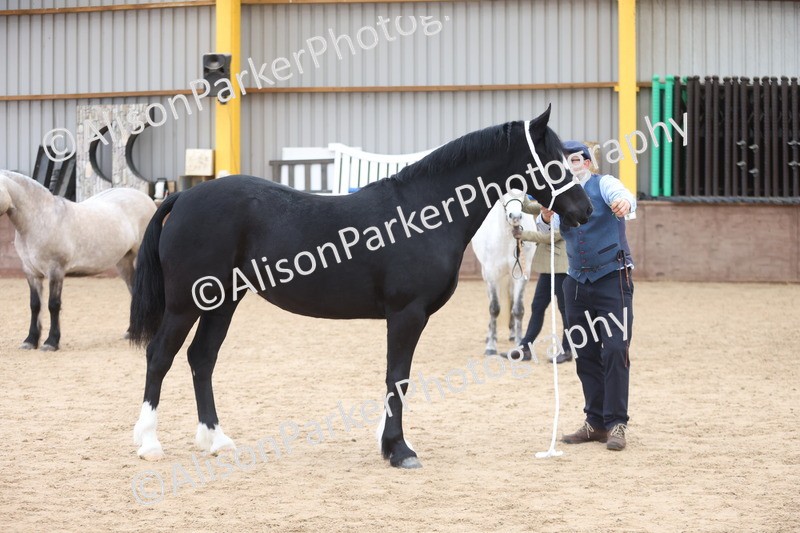 20251109-0954 - Class 26 - 2 and 4 Year Olds