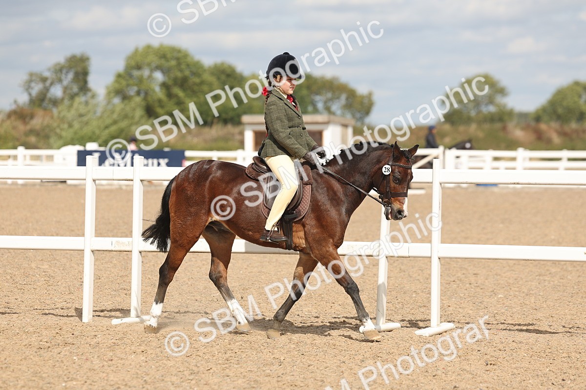 SBM_15871 - Class 310 - First Ridden Pony