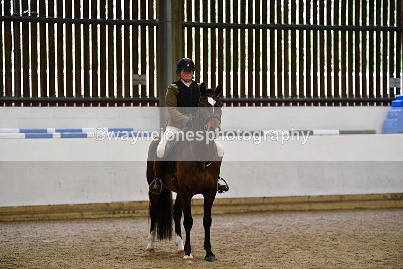 WJ5_8034 - Class 13 Ridden Part Breed