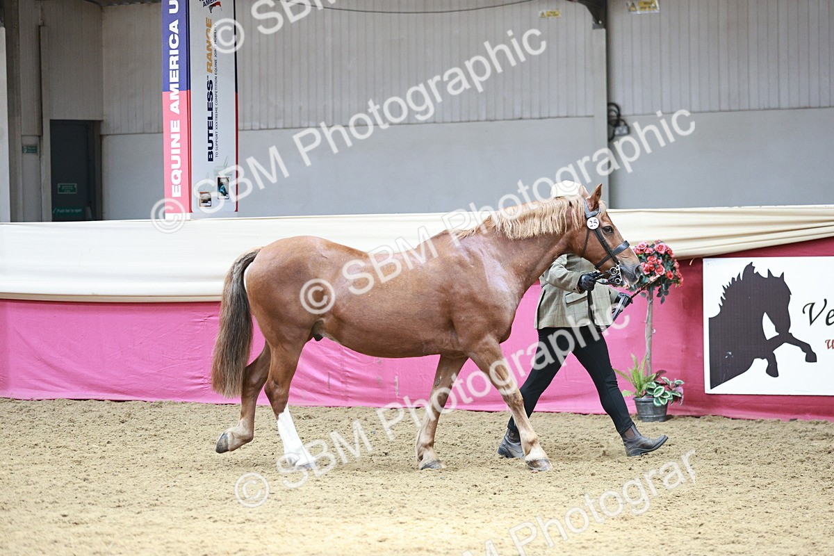 SBM_04719 - Class 7R - Regional IH Diamond