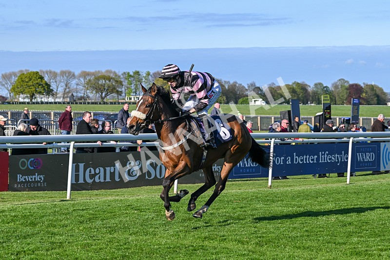 240425-Race 8-Kimeko Glory-1952 - Race 8