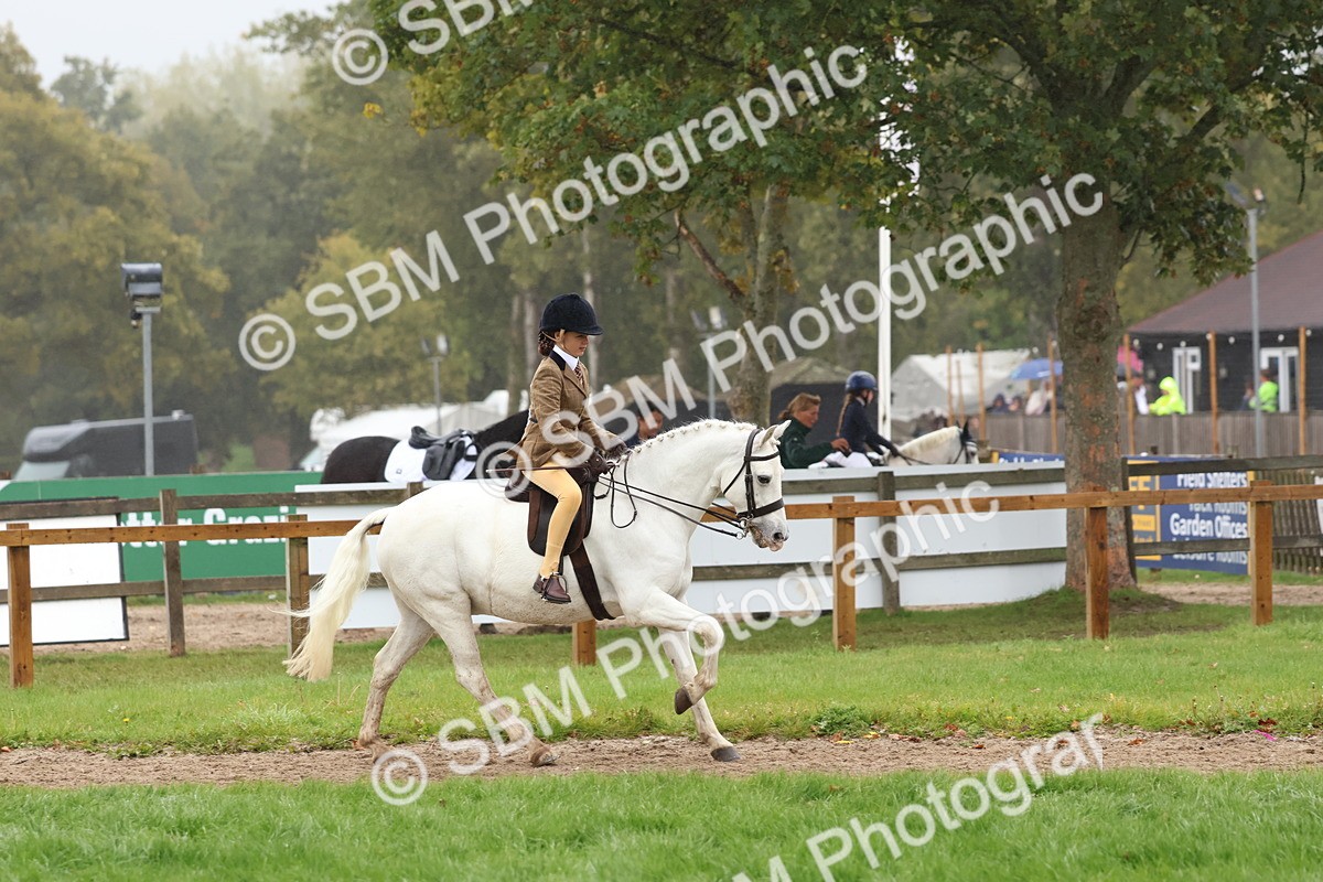 SBM_73002 - S63 Show Pony & Show Hunter Pony Ridden