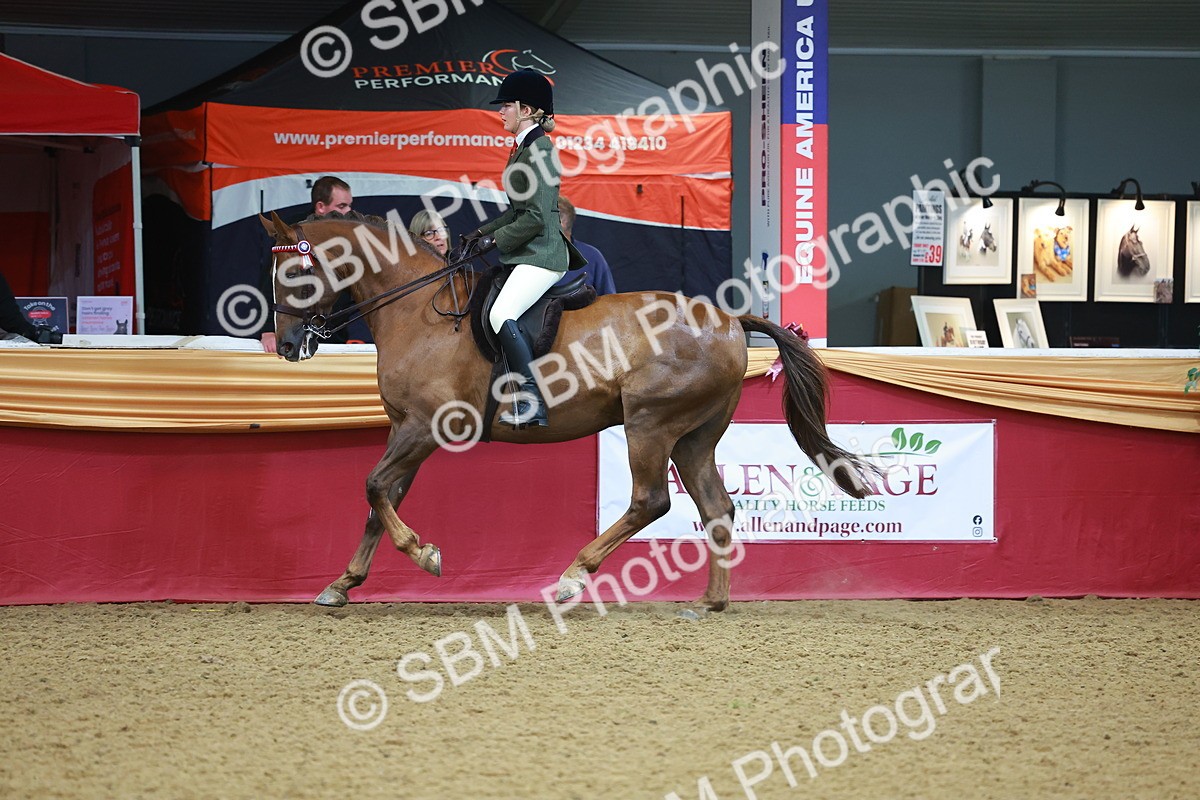 SBM_09778 - Class 102 - HOYS Veteran Qualifier - Ridden Veteran