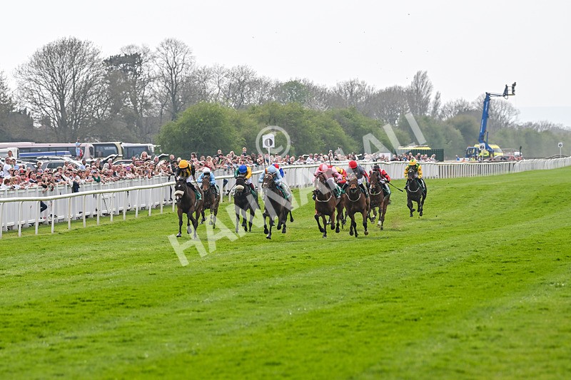 120425-Race 1-Polly Darling-0740 - Race 1