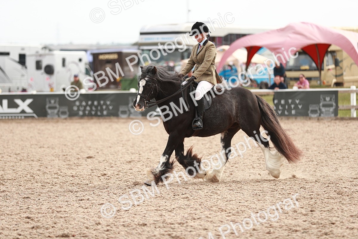 SBM_16787 - Class 214 Ridden Cob