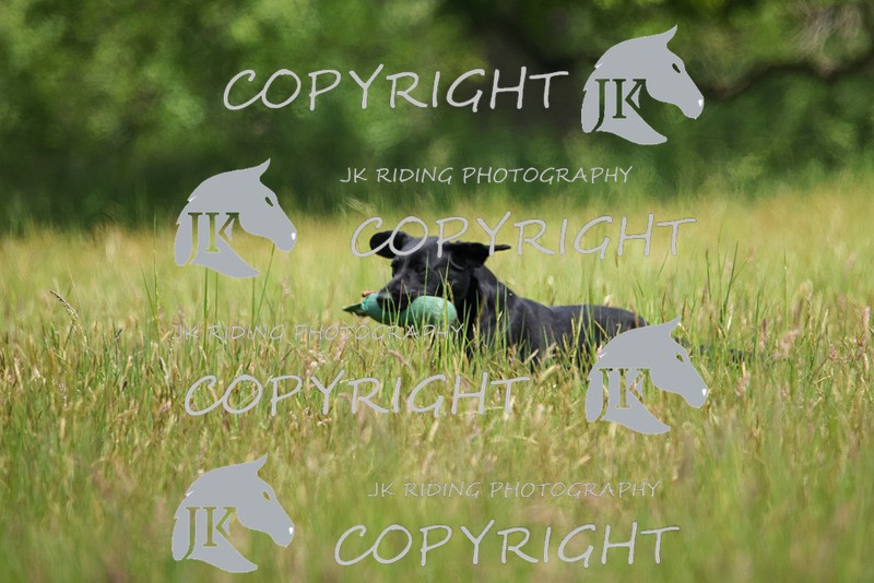 2R6A8618 - 36 Harriet