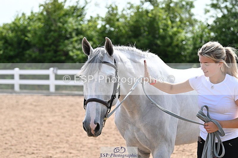 240717A-160034-03260 - Trot Up 4pm to 5pm