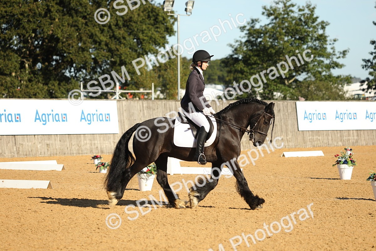 SBM_16417 - D10 - Small Tour Championship - Prelim 2