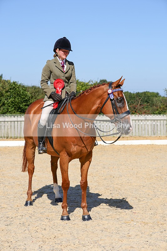 1X9A7943 - Class 10:Riding Horse